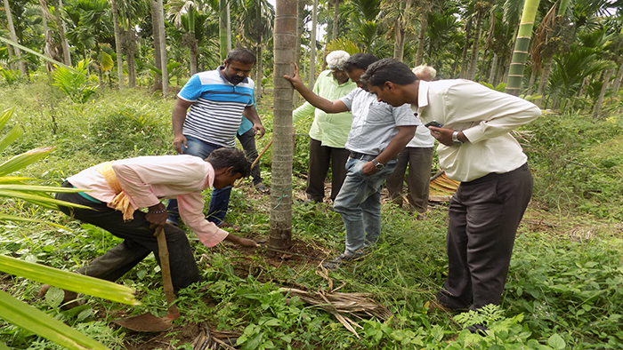 Digostic Field visit
